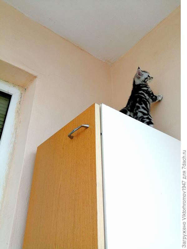 Кажется, выше не куда...