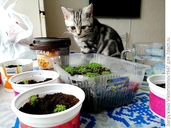 Так "вкусно" смотрится!