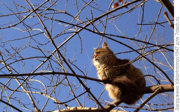 А где же Март?...