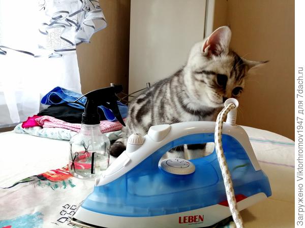 Здесь нет контакта.