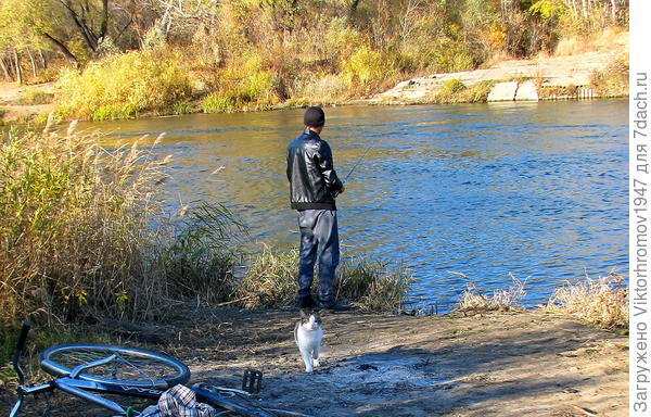 Рыбка клюёт!...