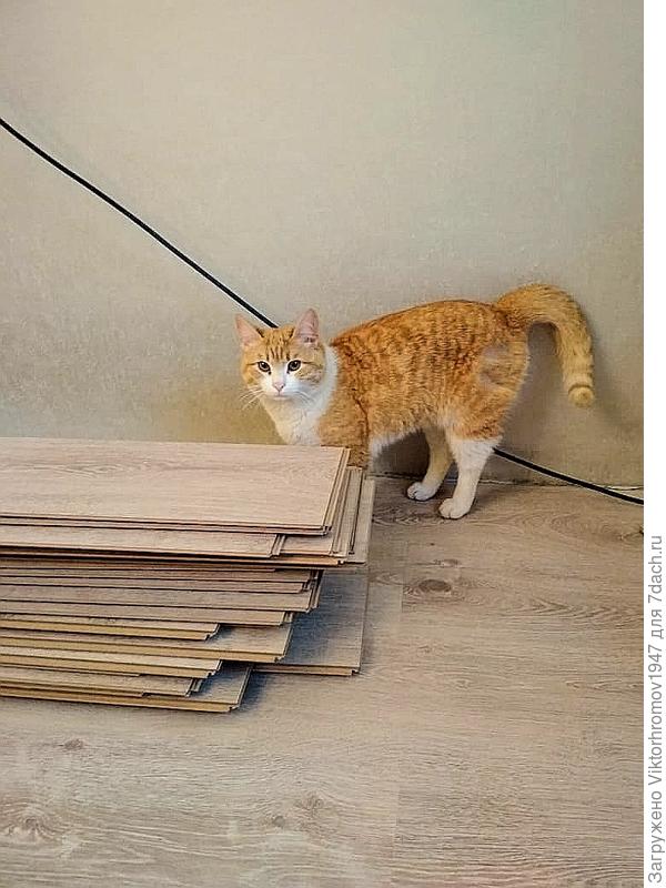 Вот и плиты привезли...