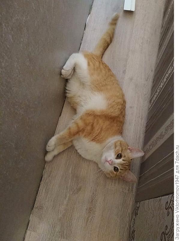 Полежал, тепло и приятно. Можно брать.