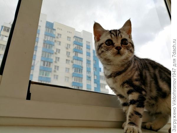 Ну и высоко же Мы живём