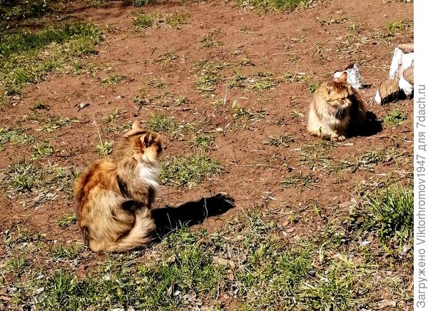 Давай познакомимся...