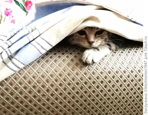 Охотница за "головами"...