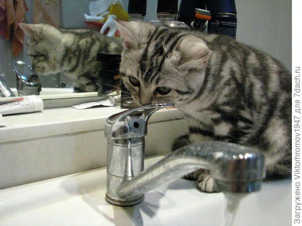 Здесь открывается...