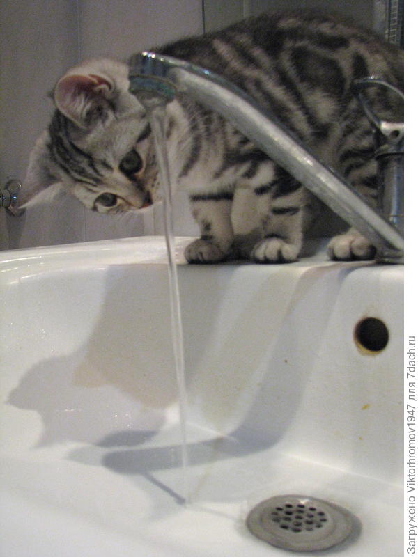 Ого! Как течёт...