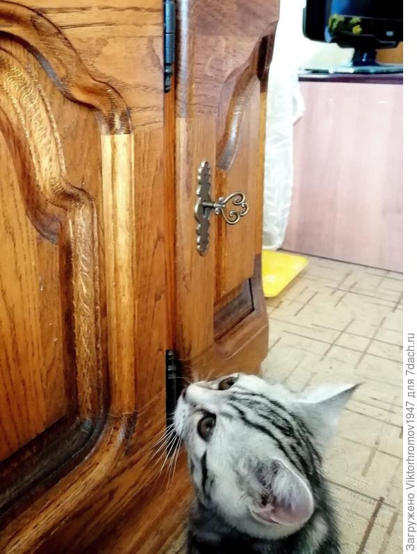 Как же открывается...эта дверца?