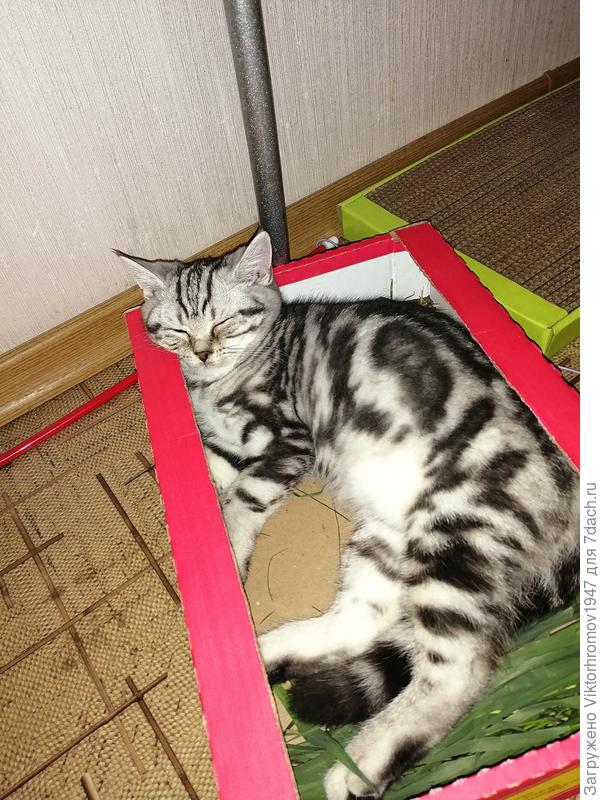 ...А мне понравилась!