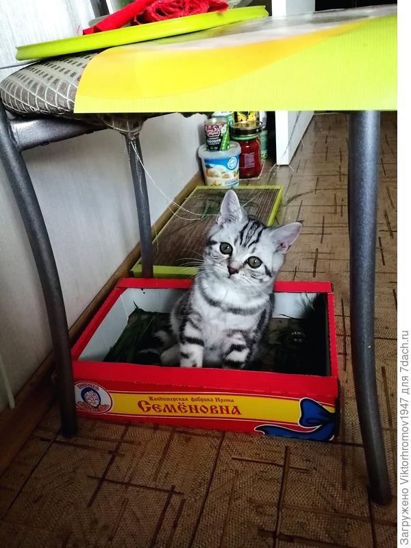 Зачем то, принесли коробку...