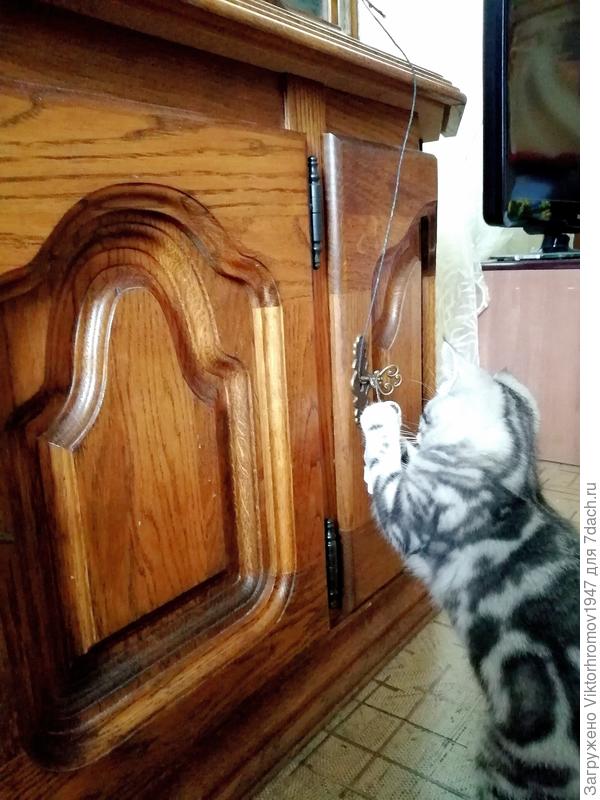 Кажется здесь...