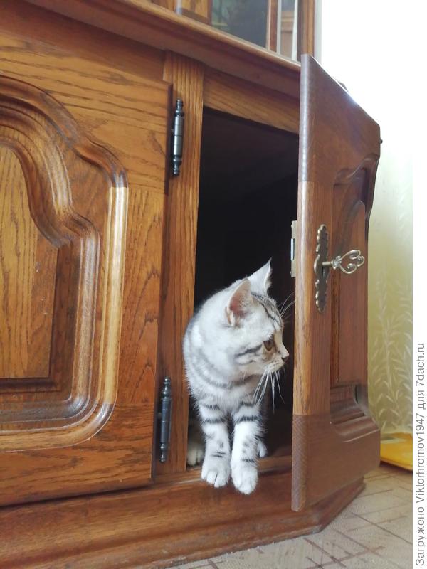 Ну вот...Уже позвали!...