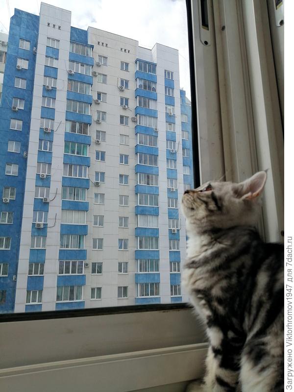 Эх!...Туда бы залесть!...