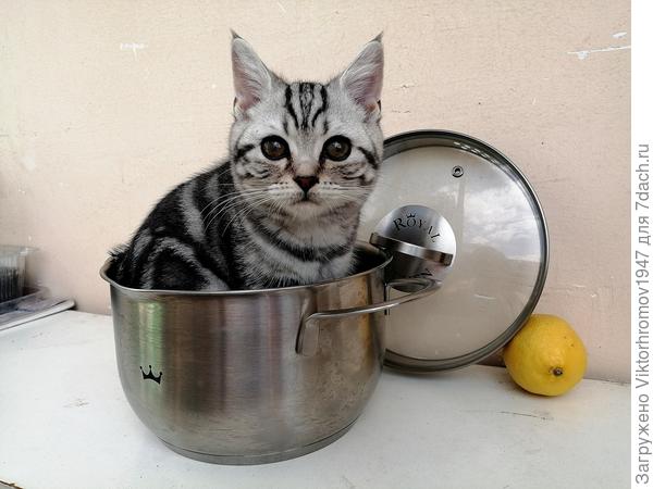 А я пока... на самоизоляции...