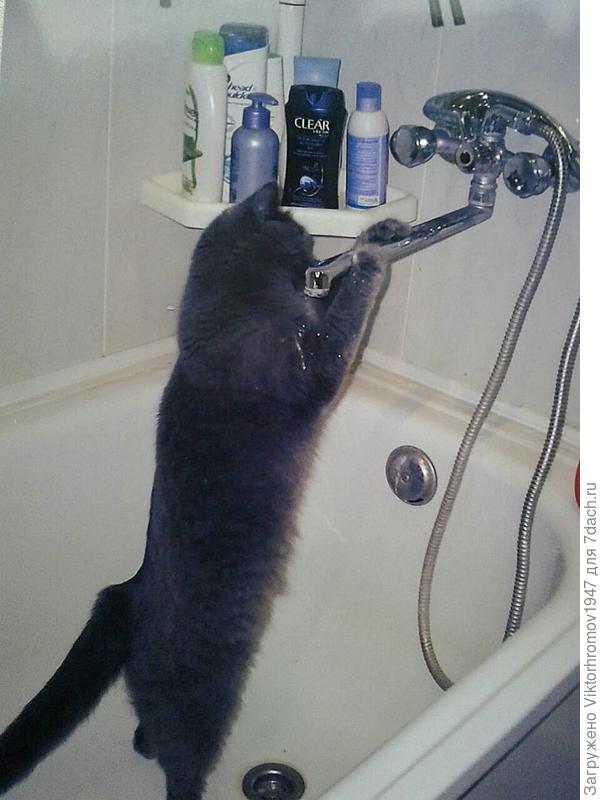 Мойте руки перед едой...