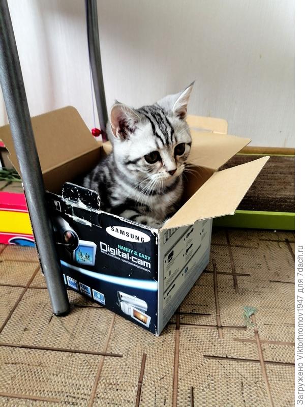 Поищите ещё меньше коробочку...