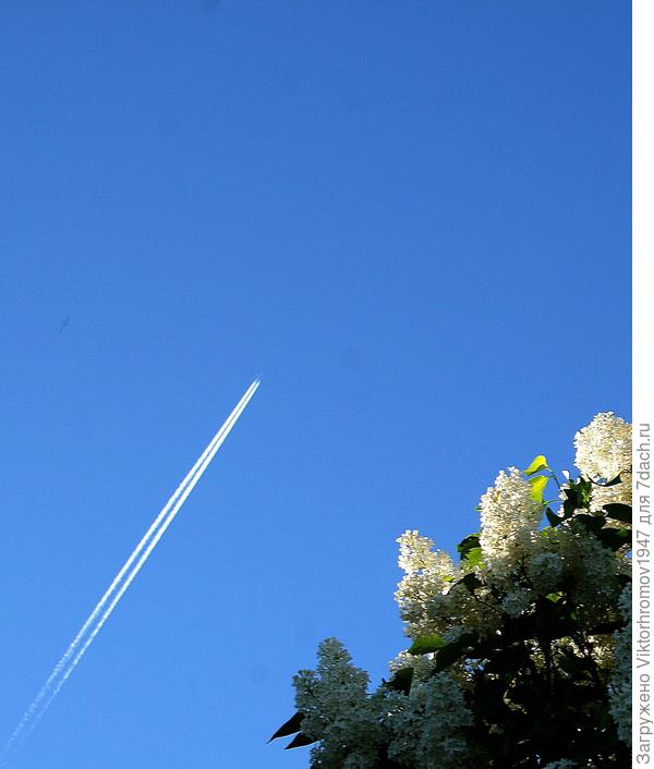 Небо надёжно защищено!