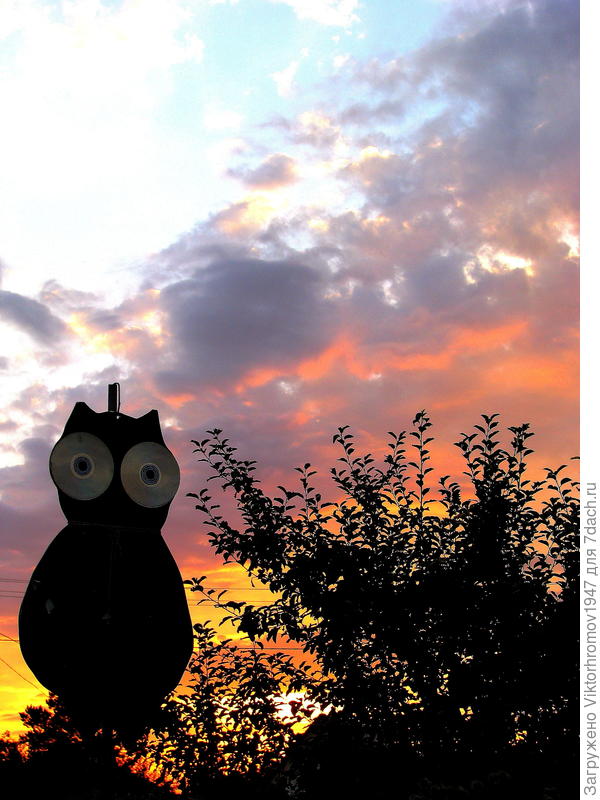 Смелый Охранник!...