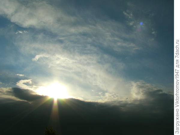 Возрождение...