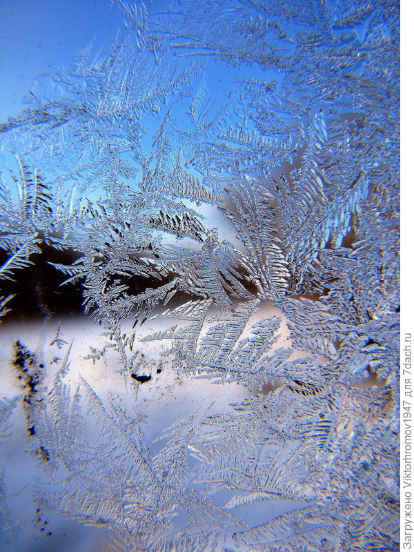 ...взгляд сквозь Дачное окно...