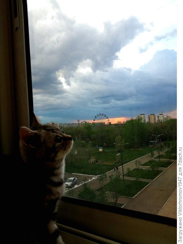 Опять гроза надвигается!