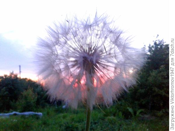 ... вот и разлетимся...