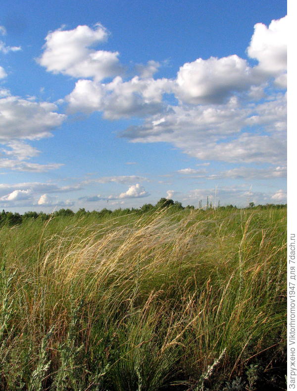 Степи Южного Урала...