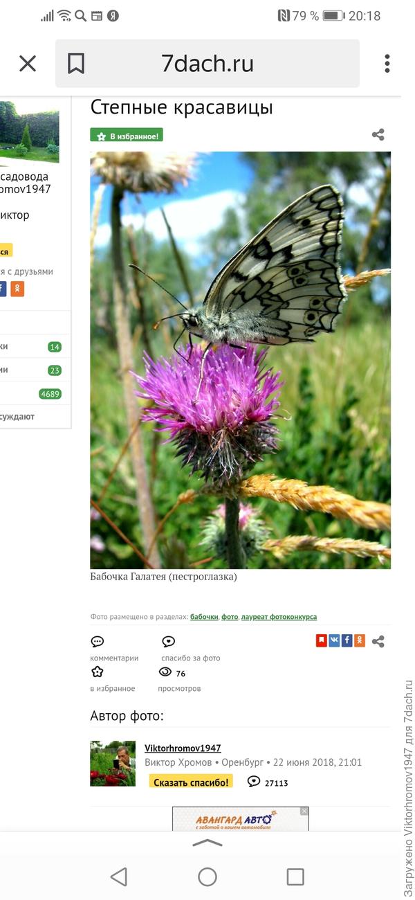 Мила я нашёл свою фотографию, сделал скрин и сейчас попробую отправить. Но она от 7 дач и под моим именем.