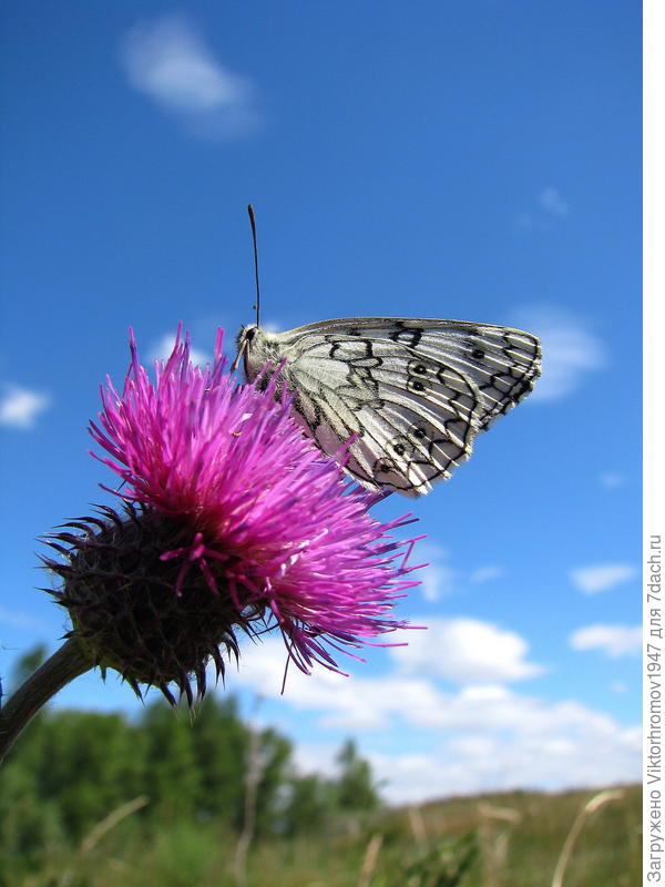 ...Только два года назад 22 июня.