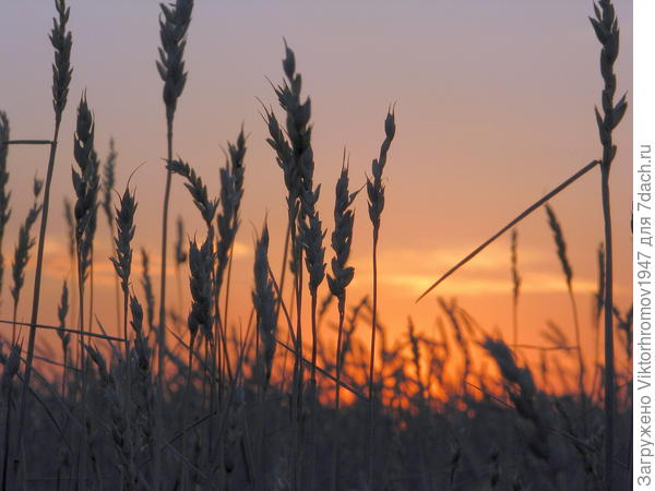 Это не пожар,такой Закат...