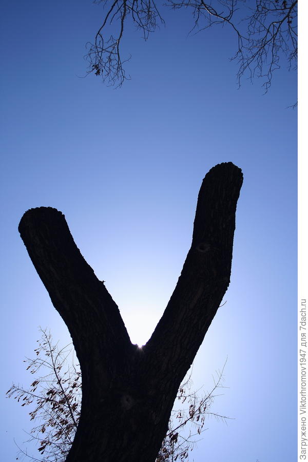 Что заслужили...то и получили...