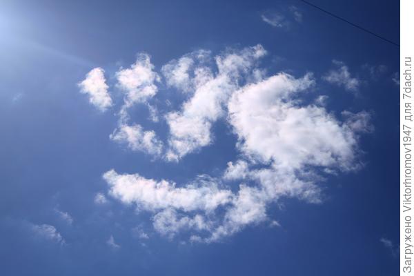 Так смотрит, видимо её никто не фотографировал...