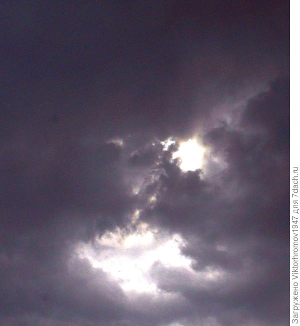 Вот чудище...хоть бы не приснилось!...