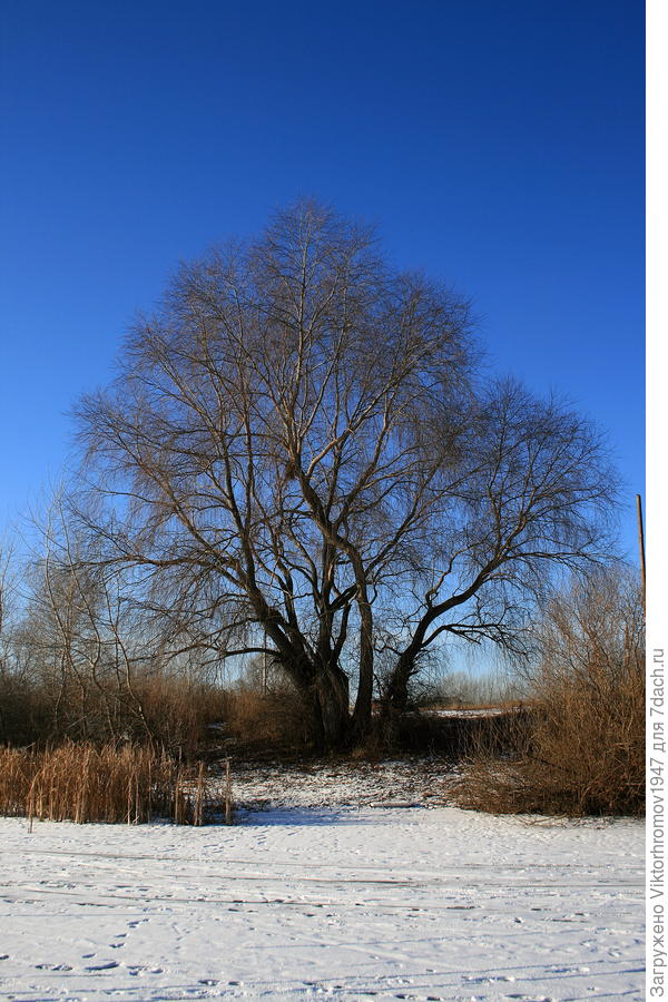 Наше рыбацкое место, здесь всегда прохладно и тень.