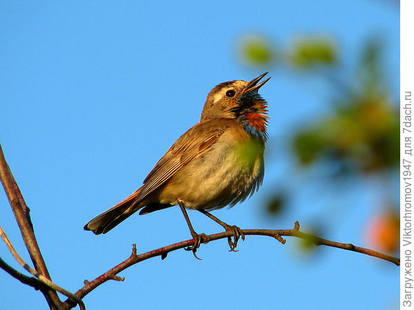 С  ДНЁМ  ПОБЕДЫ!!!