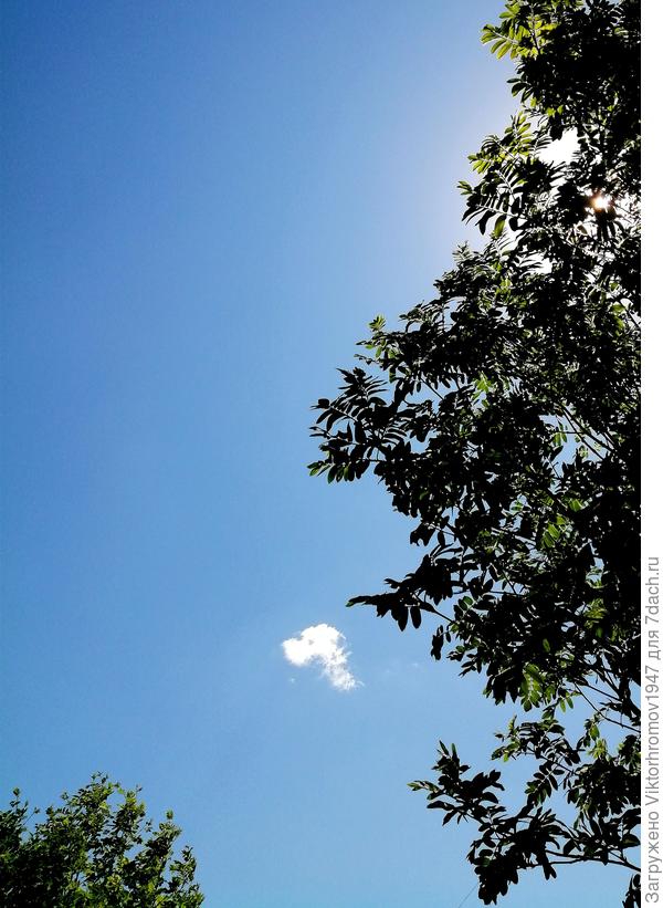 ... точно голубь Мира!...