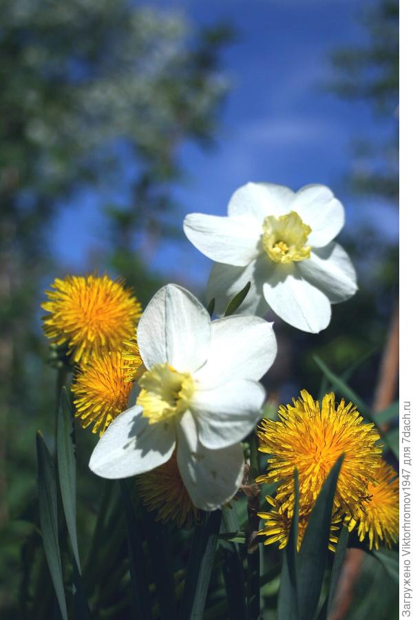 Мирного неба! Здоровья! Удачи!