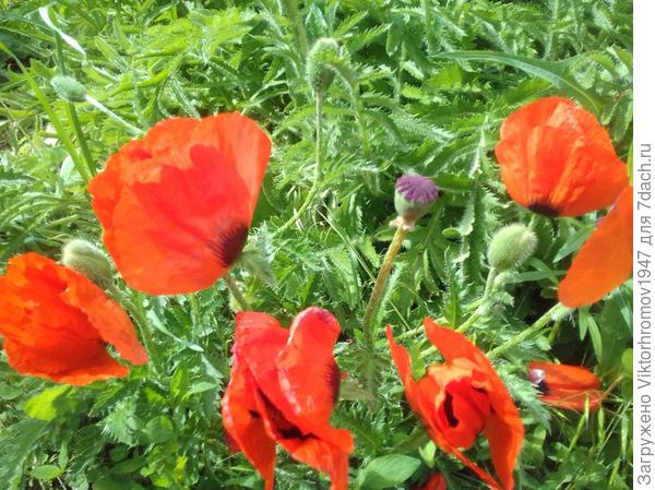 Очень тронут Благодарю!