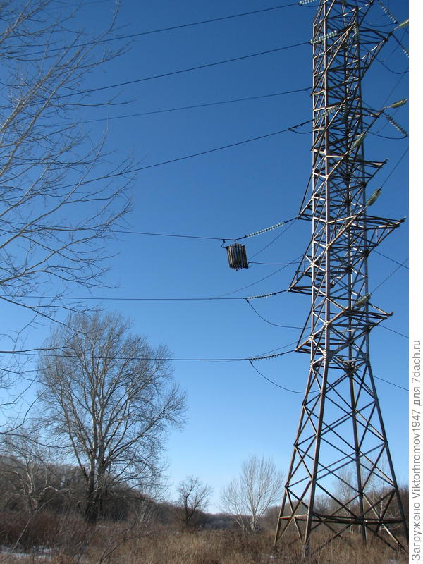 Мы впереди Планеты всей!