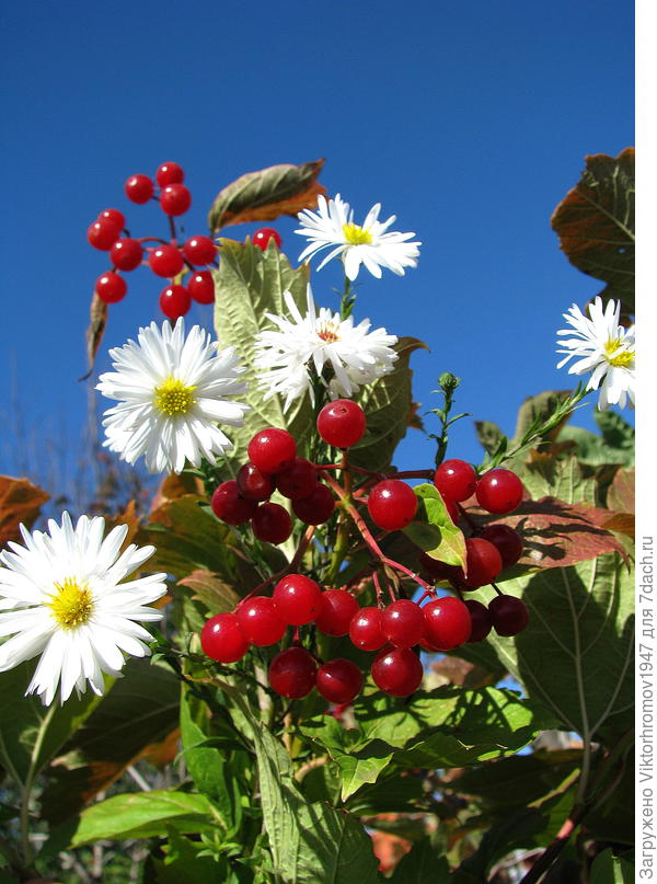 Яркий Солнечный денёк!