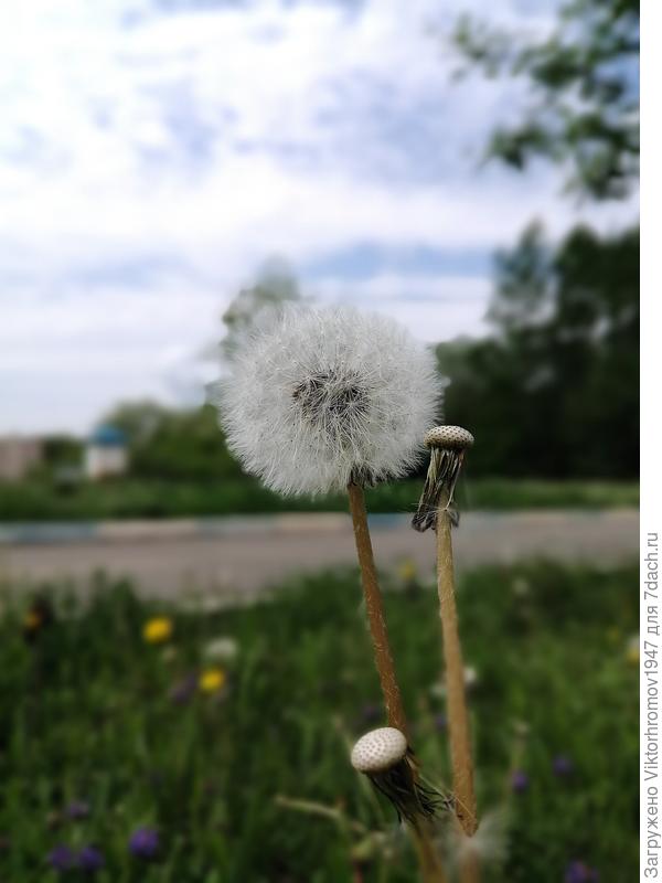 Тёплый Майский день...