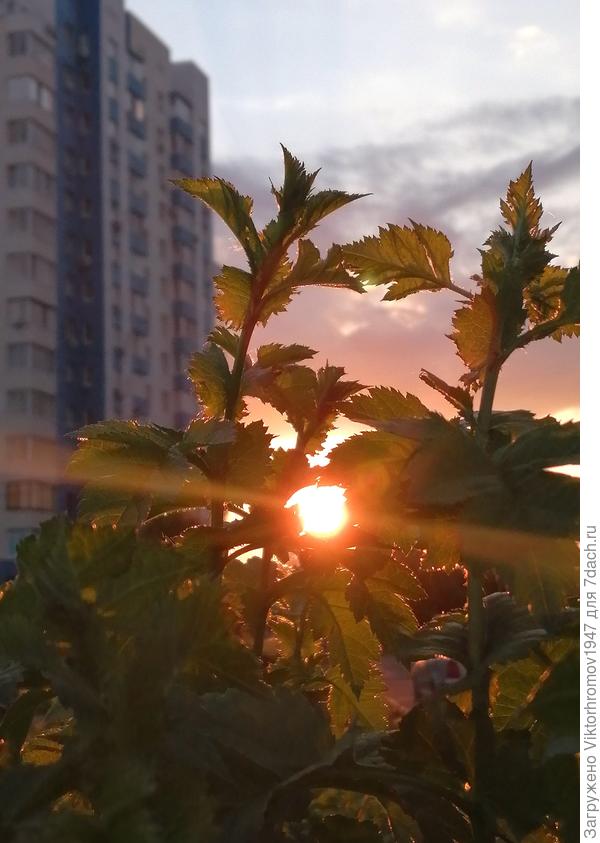 (закат солнышка)