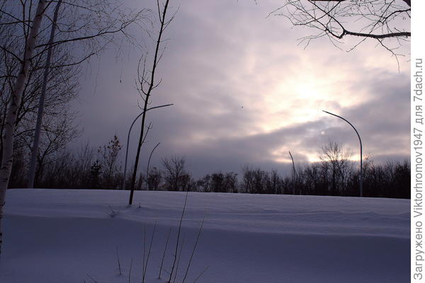 Январская стужа...
