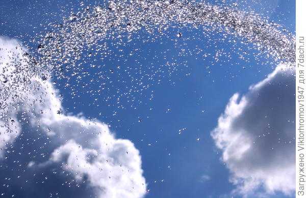 Капли и тучи...