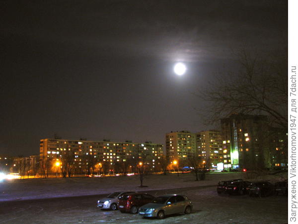 Лунная морозная ночь.