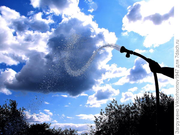 Дачный юмор...