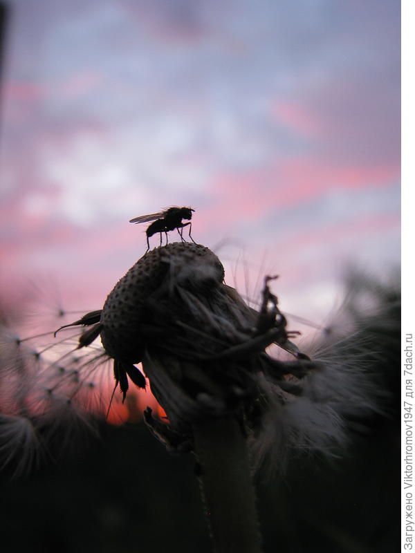 Придётся здесь остаться...