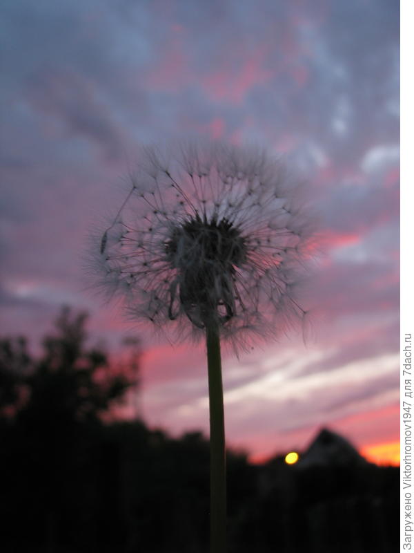 Нужно выстоять до утра.