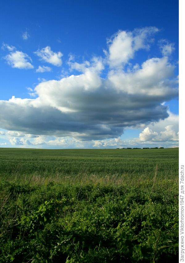 Хоть бы без града...